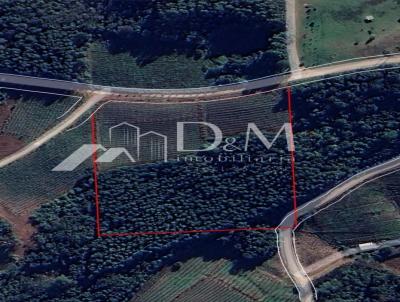 rea para Venda, em Coronel Pilar, bairro Santo Antonio