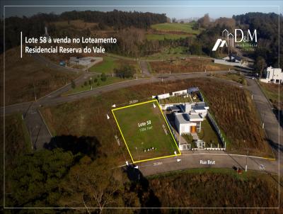 imagem-miniatura