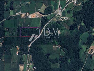 rea para Venda, em Garibaldi, bairro So Jorge