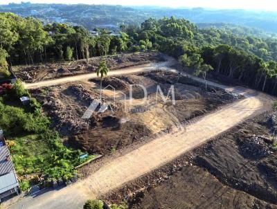 Terreno para Venda na cidade de Garibaldi no bairro Santa Terezinha